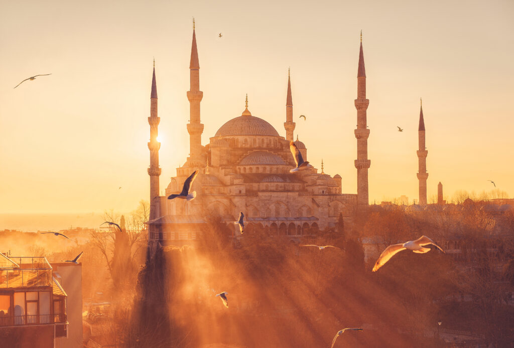 action en déchéance de marque en Turquie